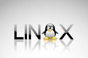 Linux基础命令讲解