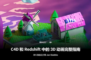 Coloso教程丨C4D和Redshift中的3D动画完整指南 中文字幕（高清画质带素材）