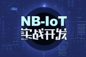 STM32+NB-IoT技术实战开发视频教程