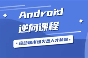 Android逆向从入门到高级VIP视频